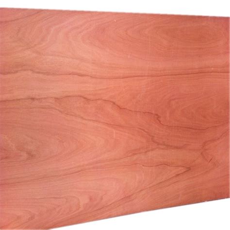Which can be stained, painted, or finished to match any color. . Poplar plywood menards